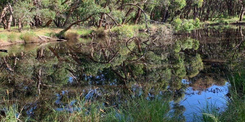 Photo by Gabrielle E.