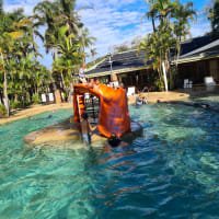 Photo by Michelle S.