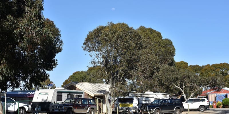 Photo by deborah and Mark robertson managers of Highview holiday Village in Ardrossan