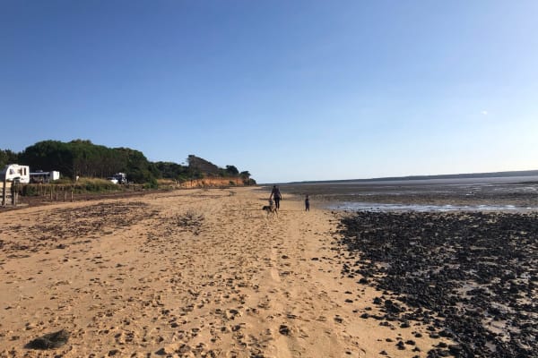 Photo by Michael W Benham