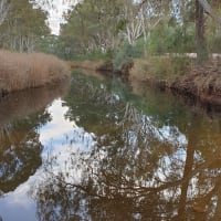 Photo by Kristine S.