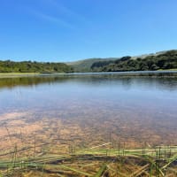 Photo by Happy Hour Hunters