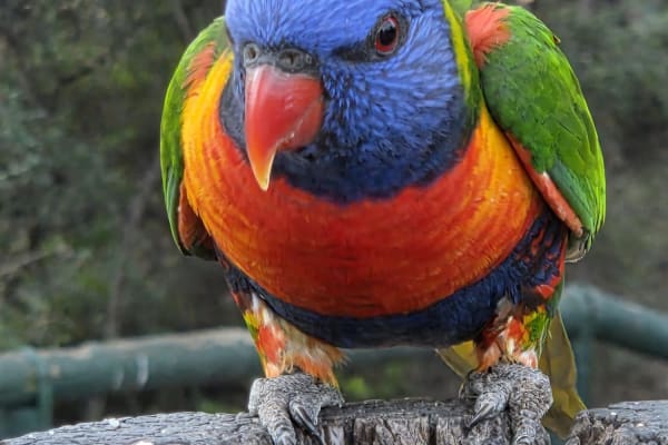 Photo by Erwin Van Den Bosch