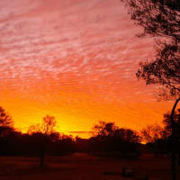 Photo by Katharine B.