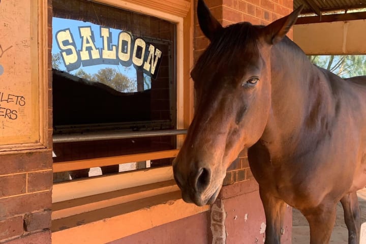 Photo by Off The Trax