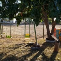 Photo by My Rig Adventures