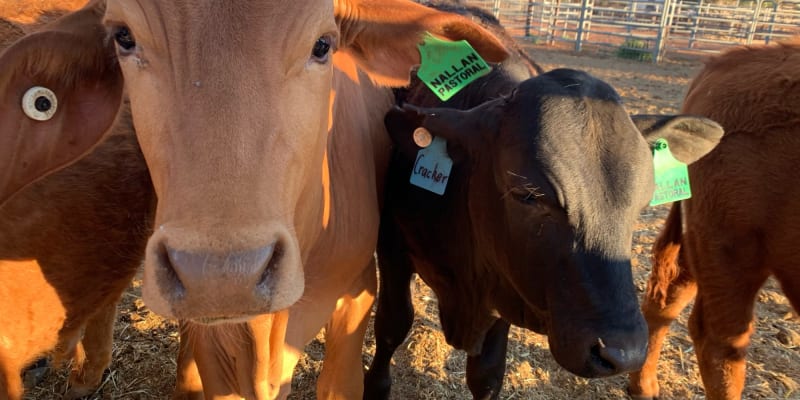 Photo by Off The Trax