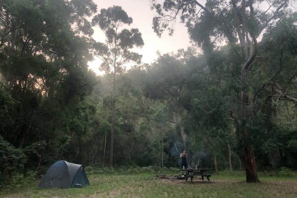 Photo by Samantha C.