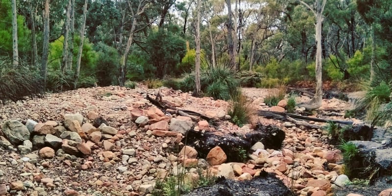 Photo by Bronskilala