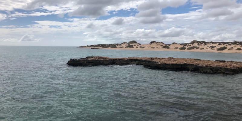 Photo of Osprey Bay Campground (Cape Range NP)
