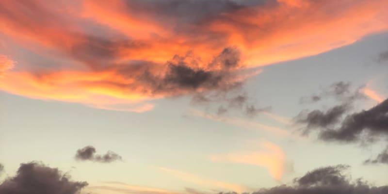 Photo by Samantha M.