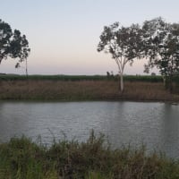 Photo by Making Memories Camping