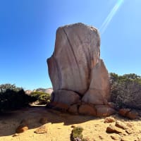 Photo by Chelsea and Jye