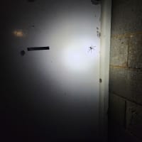 Photo by Charlotte B.