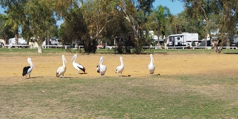 Photo by Colin van den Hoff