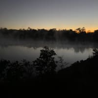 Photo by Ihaia Teiho Martin