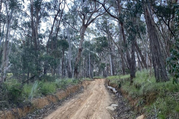 Photo by Jennifer K.