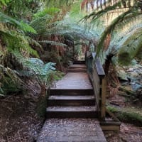 Photo by Sanchia Keeleigh Gray