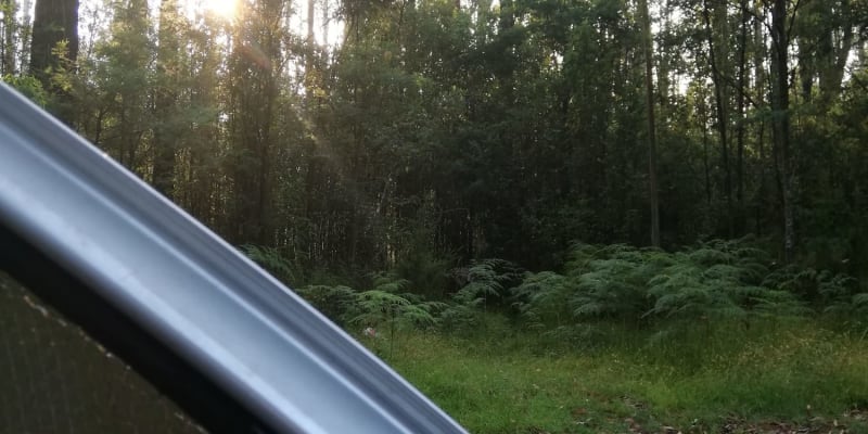 Photo by Christina W.