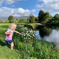 Photo by Corporate to Caravan