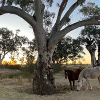 Photo by Happy Hour Hunters