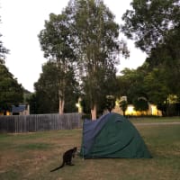 Photo by _haere.ki.waho_