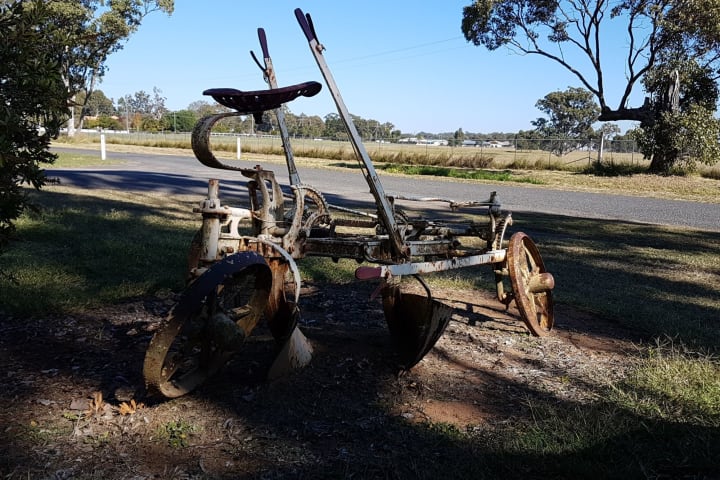 Photo by Michelle C.