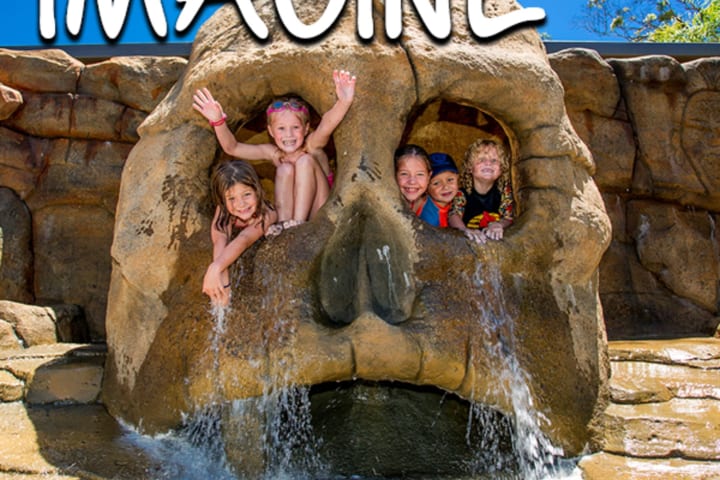 Photo by Marketing T.