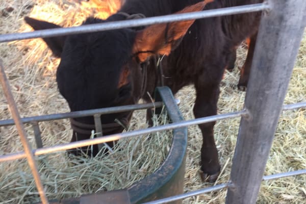 Photo by Kim & Shane