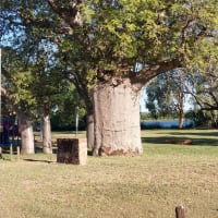 Photo by Colin van den Hoff