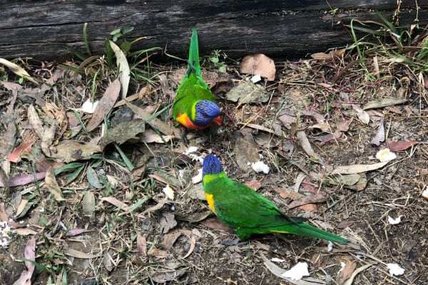 Photo by Cristina B.