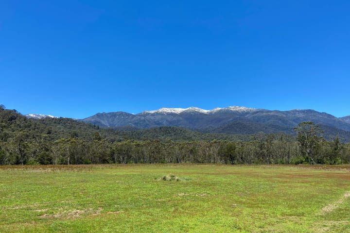 Photo by Courtney  Krause