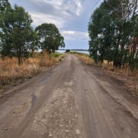 Photo by Charlotte B.