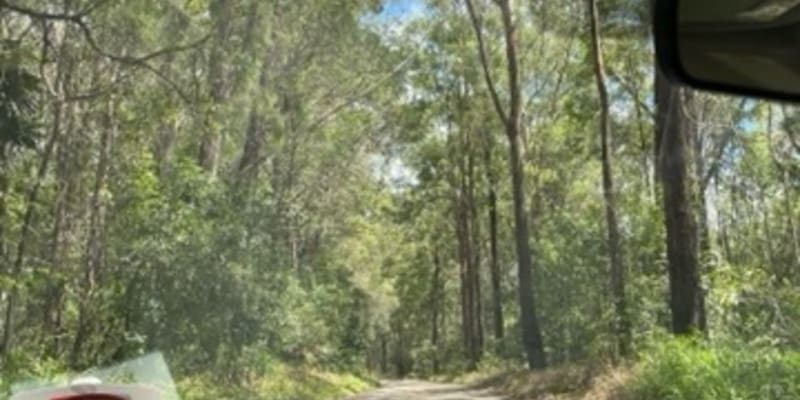 Photo by Ben + Elana