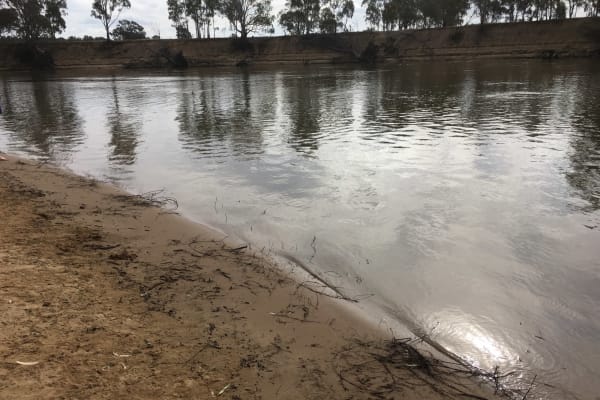 Photo by Karen Ann Richardson