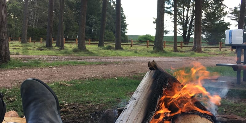 Photo of Ponderosa Park Campground