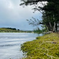 Photo by Nattaporn B.