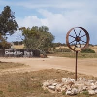 Photo by Olivia Bataligin Averkin