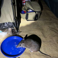 Photo by Ben + Elana