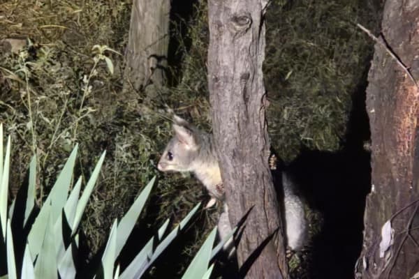 Photo by Erwin Van Den Bosch