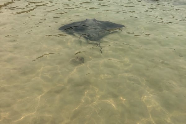 Photo by Benjamin A.