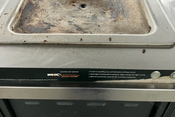 Photo by TassieTraveller