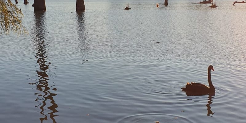 Photo by Kimberley R.