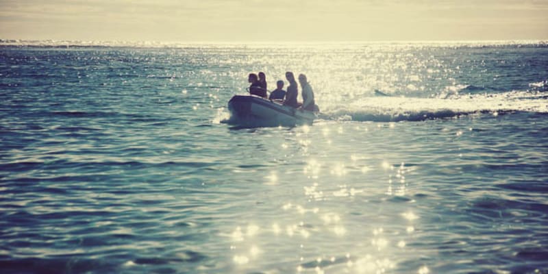 Photo by Marty and Muriel HORAK