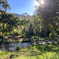 Photo by E N Kt Street