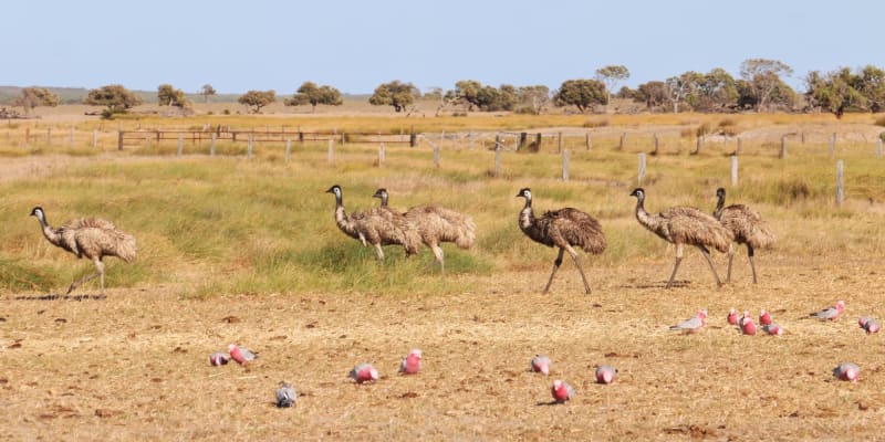 Photo by Off The Trax