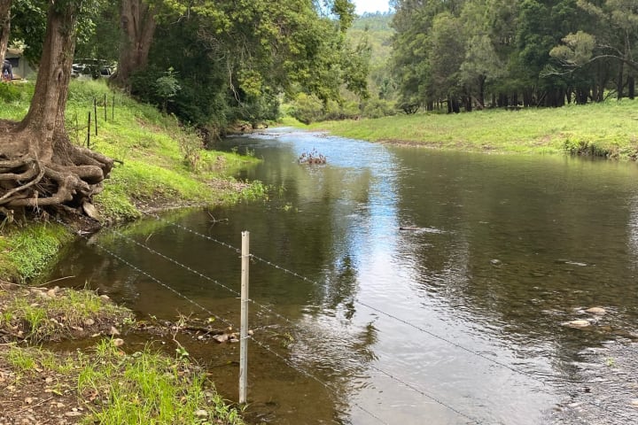 Photo by Phillip  Styles