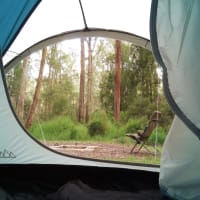 Photo by Theo Janse van Nieuwenhuizen