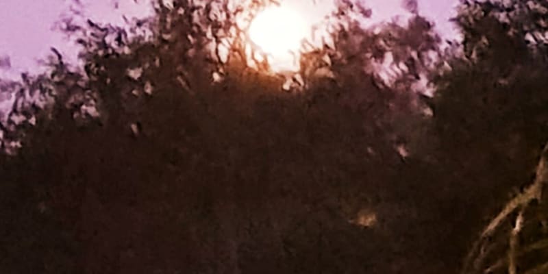 Photo by Terri Le Terour