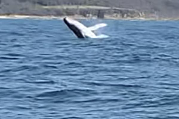 Photo by Tale Sisi Fine